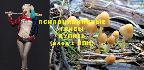 дурь Покачи